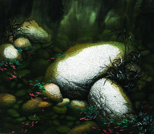 ������ʯ��Ҧ��Ҧ����������Ʒ����