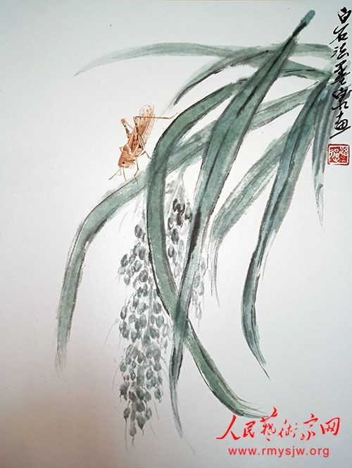 ��·ͨ������Ʒ����