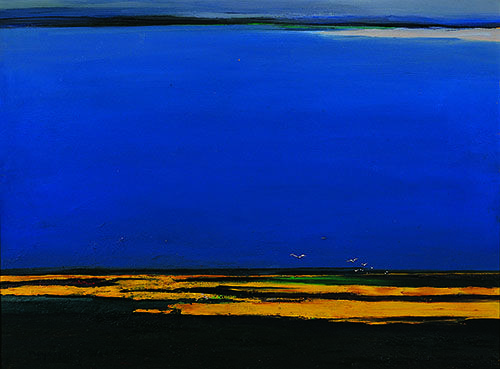 �ŷ�Ҳ�����޹��磬����ר����������赣�īȾ����