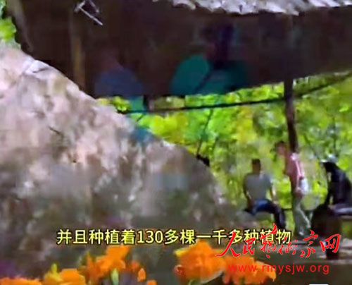 �й��������黭ԺԺ�����������������ƽ�����ҵ�ܲ�����