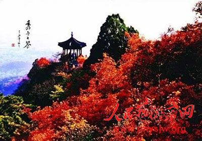 ��˷��������ɢ�ĳ�̽