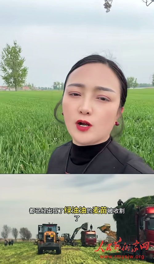 �� �ģ�Ī�á��ഢС�󡱿�ʳ��ʳ��ȫ����