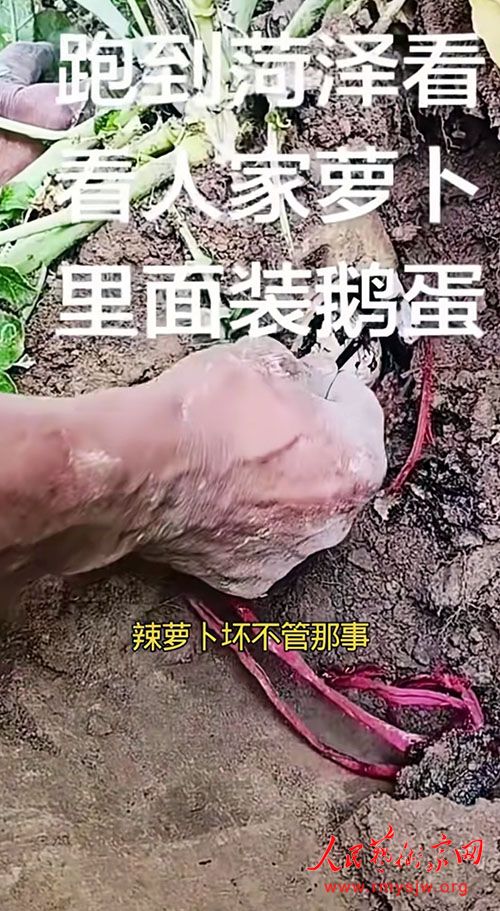 �ӡ��ܲ��ض쵰����ƫ��ƭ�֣����ý������Ǳ���ո�����